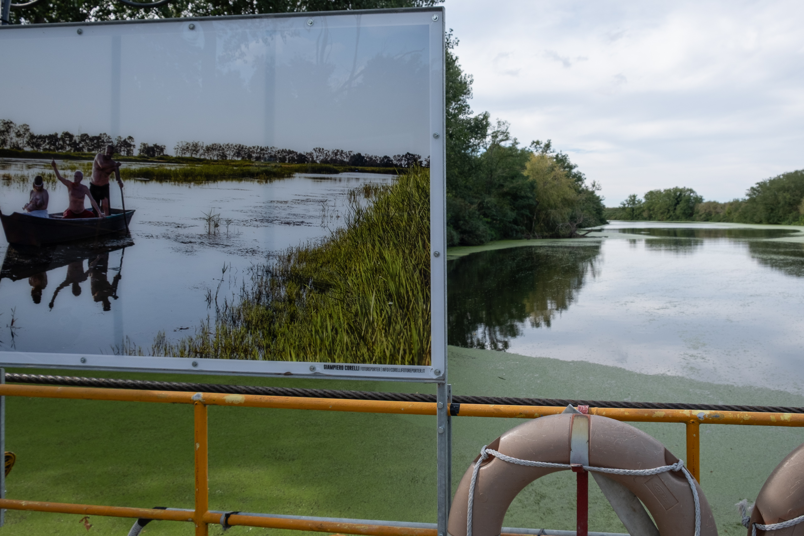 Großformatiges Foto an Bord der Fähre – der Reno voller Algen